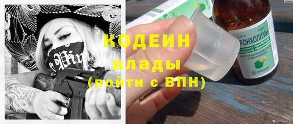 крисы Армянск